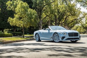 Beverly Hills Collection